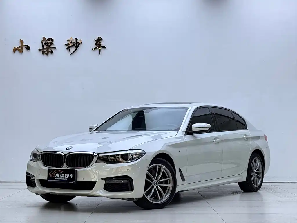 BMW 5 Series 2018 — фото 1