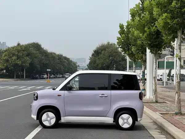 Zhidou Rainbow 2025