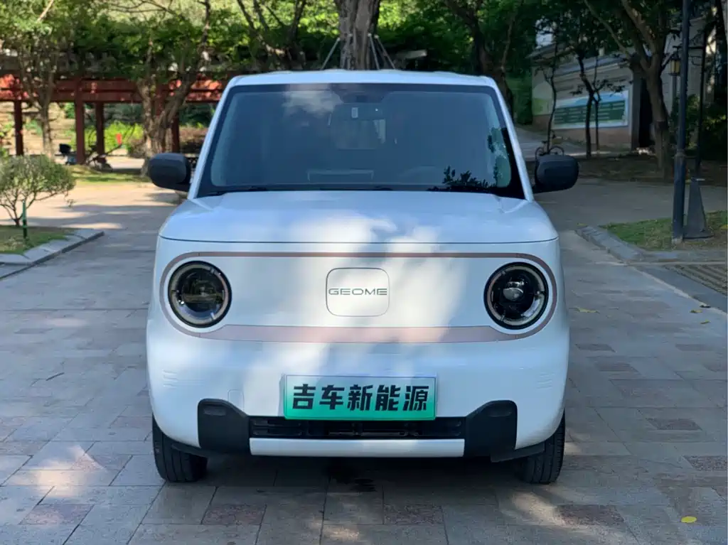 Geely Galaxy Panda 2024