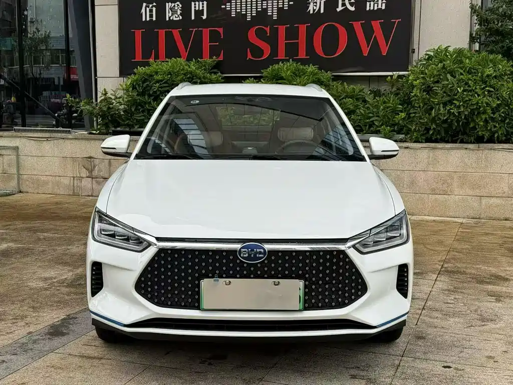 BYD e2 2021
