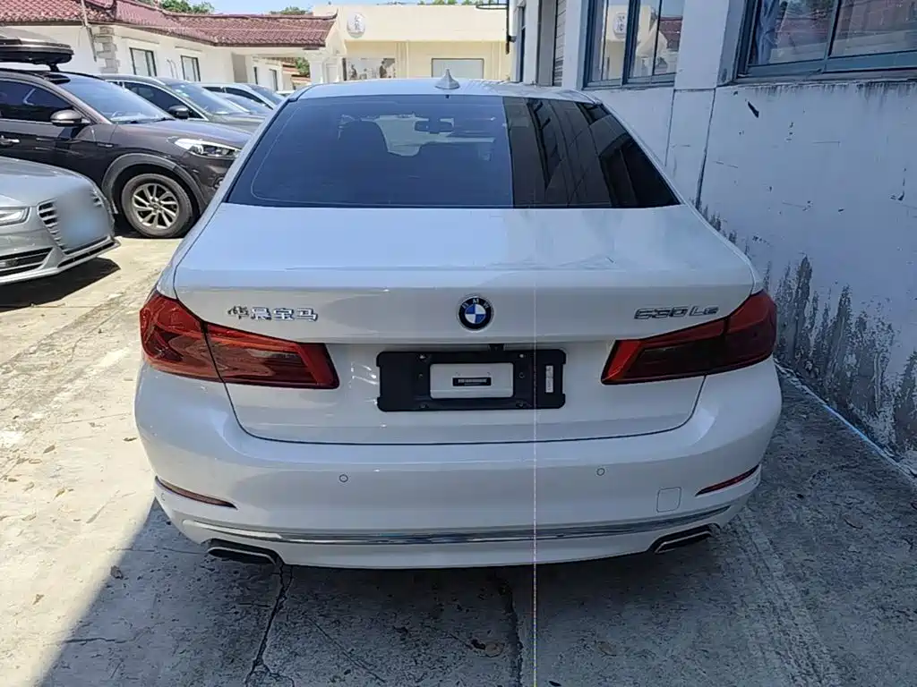 BMW 5 Series New Energy 2020