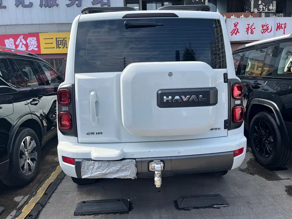 Haval H9 2025 — фото 18