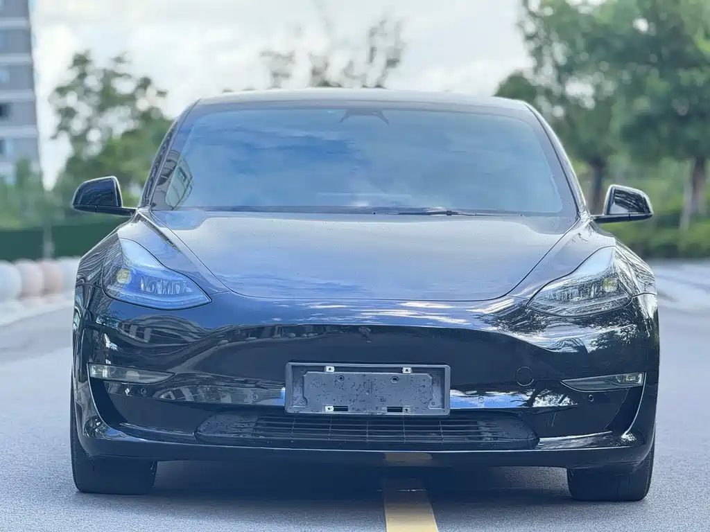 Tesla Model 3 2021 — фото 3