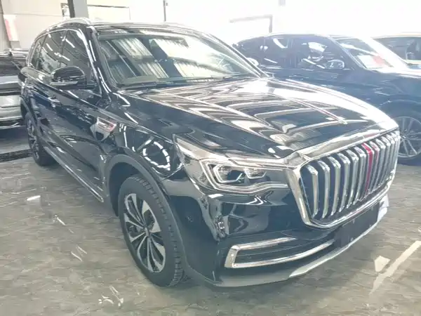 Hongqi HS7 2021