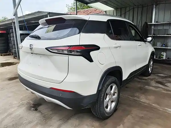 Baojun 510 2019