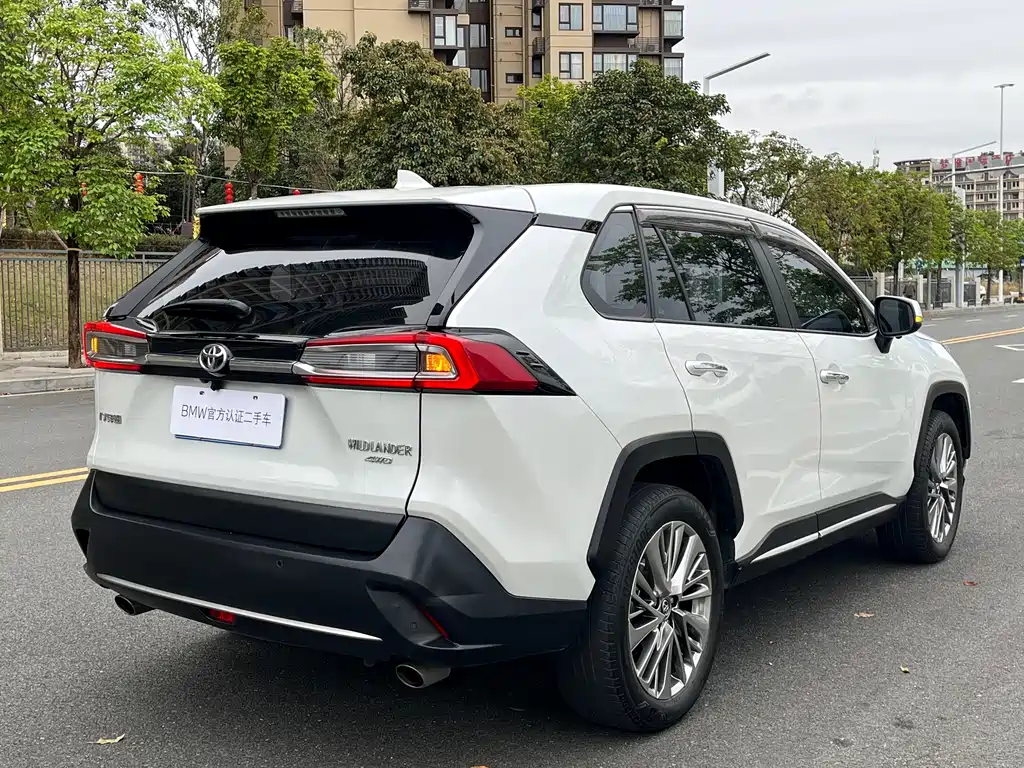 Toyota Wildlander 2020