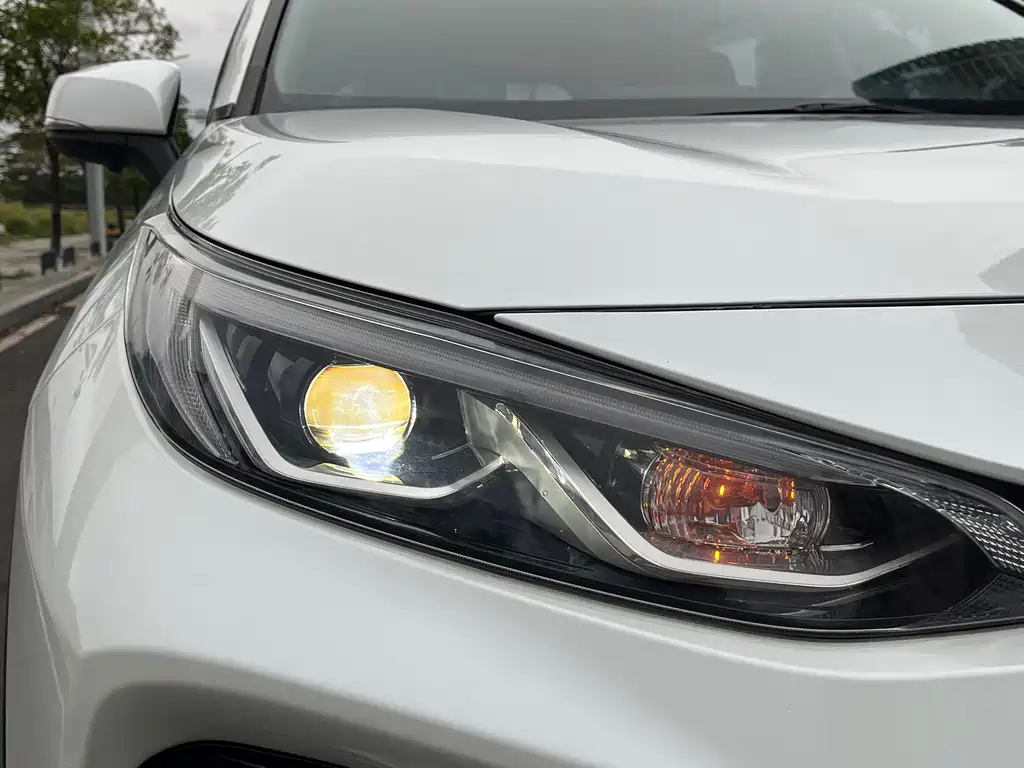Toyota Wildlander 2020