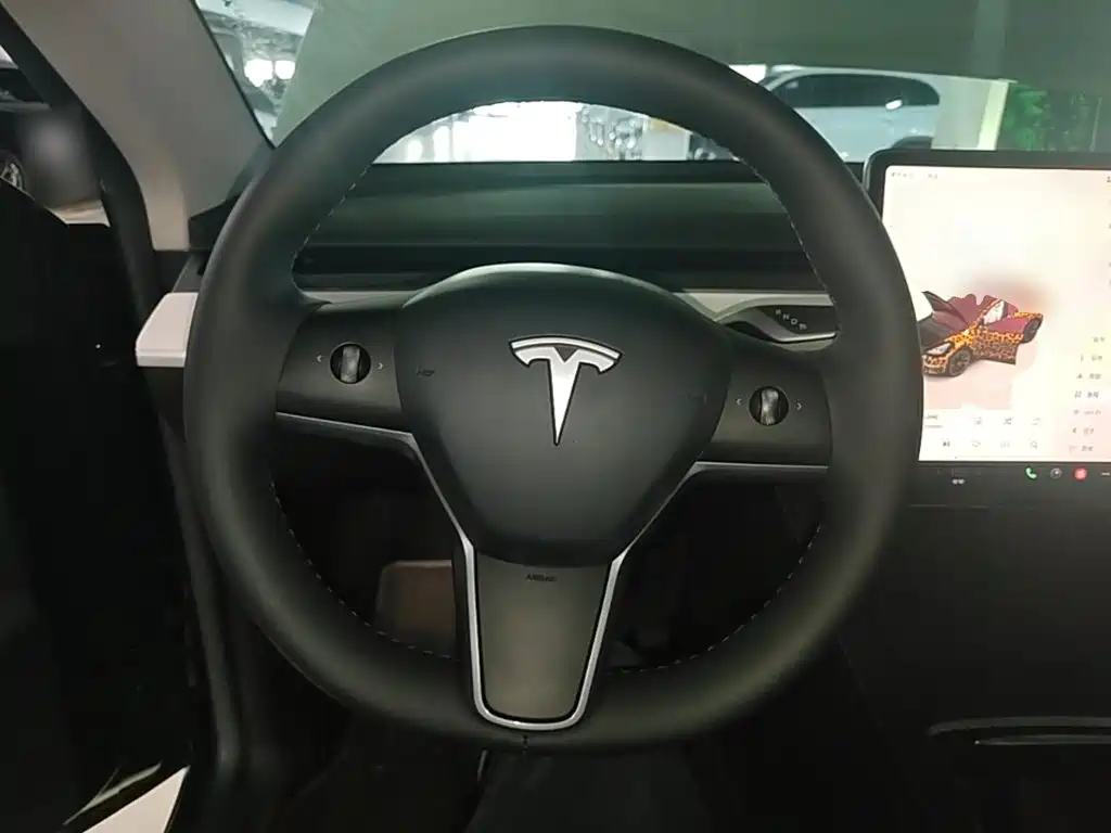 Tesla Model Y 2023 — фото 11