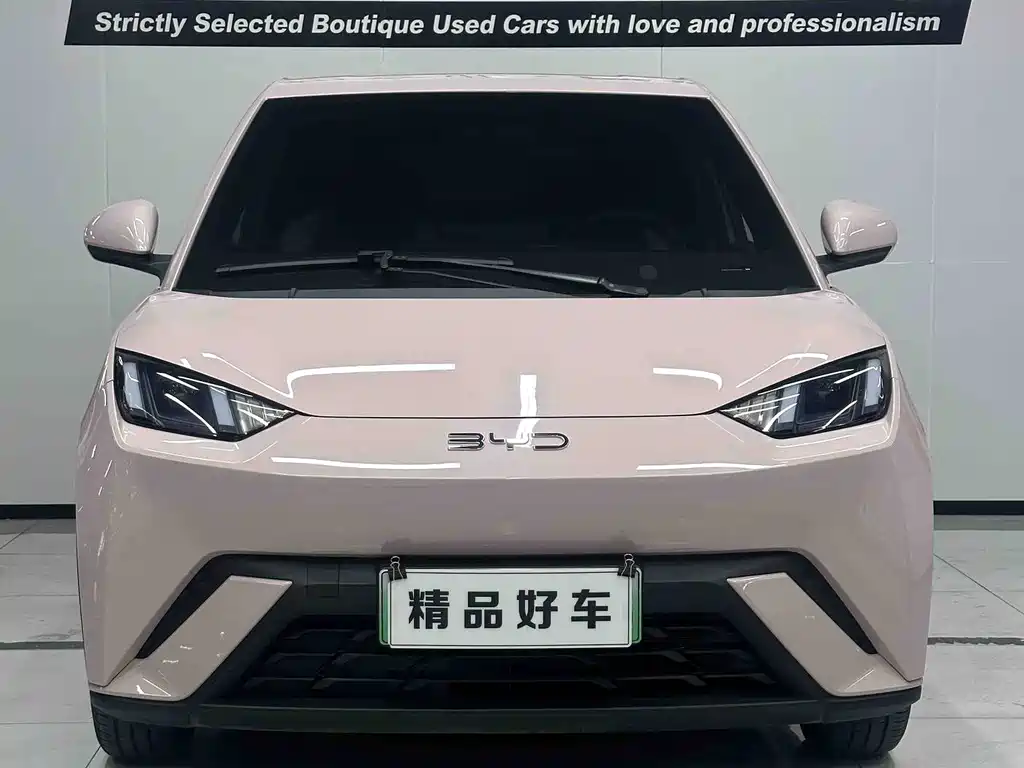 BYD Seagull 2024