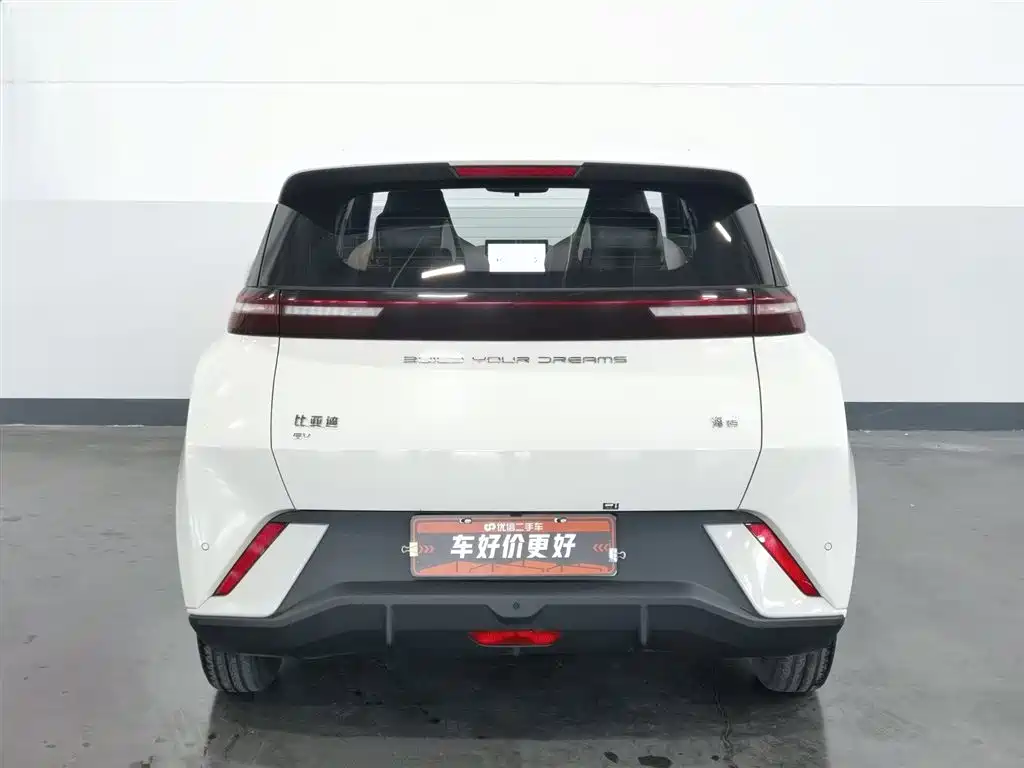 BYD Seagull 2024