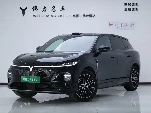 Voyah Zhiyin 2025