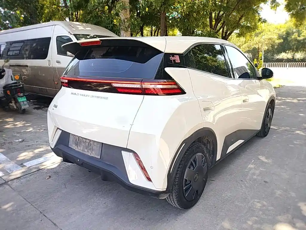 BYD Seagull 2024