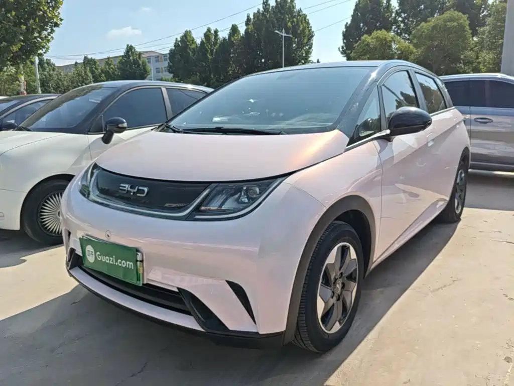 BYD Dolphin 2024