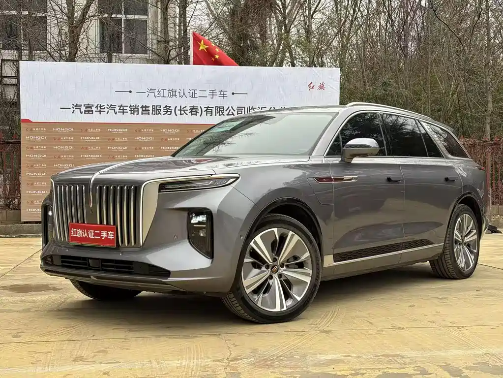 Hongqi E-HS9 2023 — фото 1