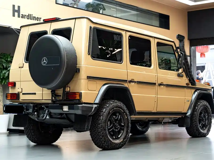Mercedes-Benz G-Class 2010 — фото 4