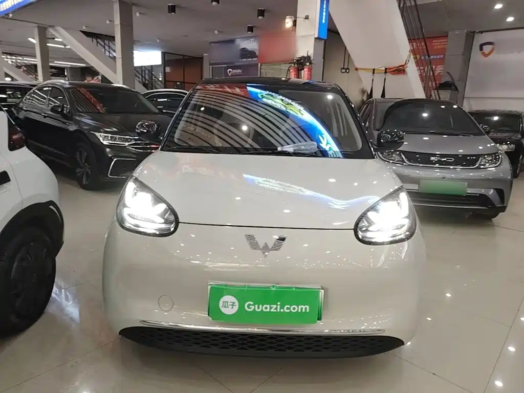 Wuling Bingo 2024