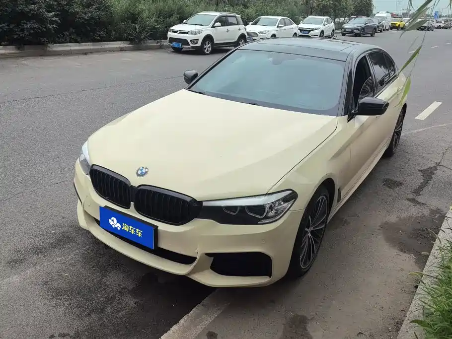 BMW 5 Series 2019