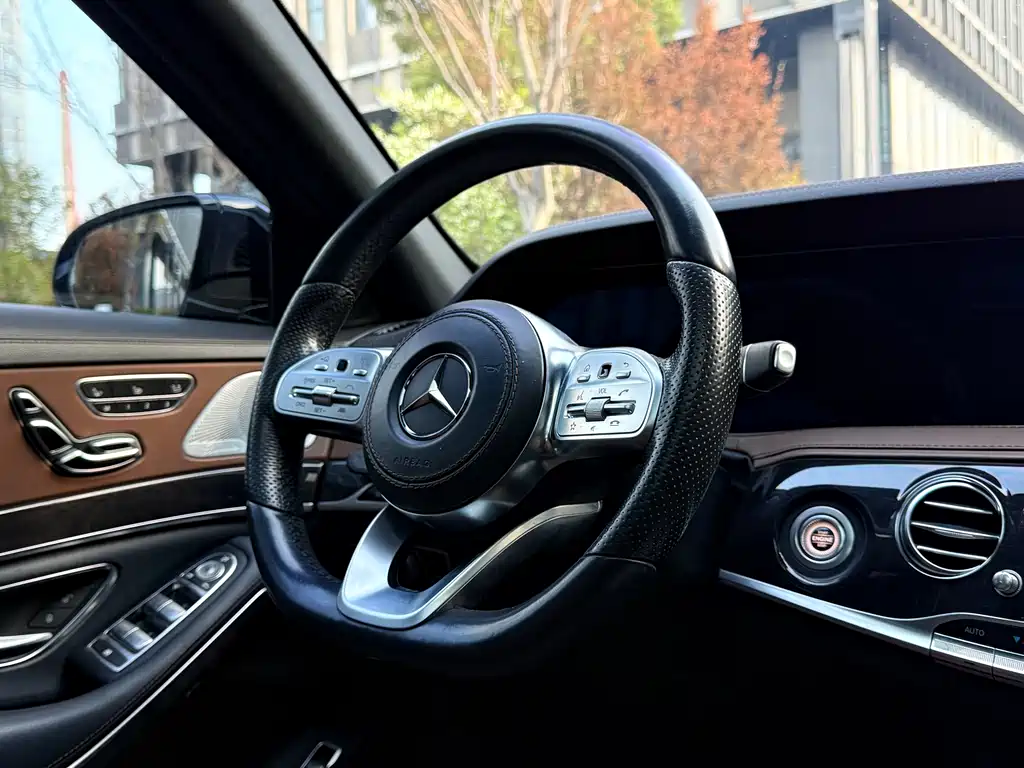 Mercedes-Benz S-Class 2020 — фото 15