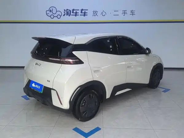 BYD Seagull 2024