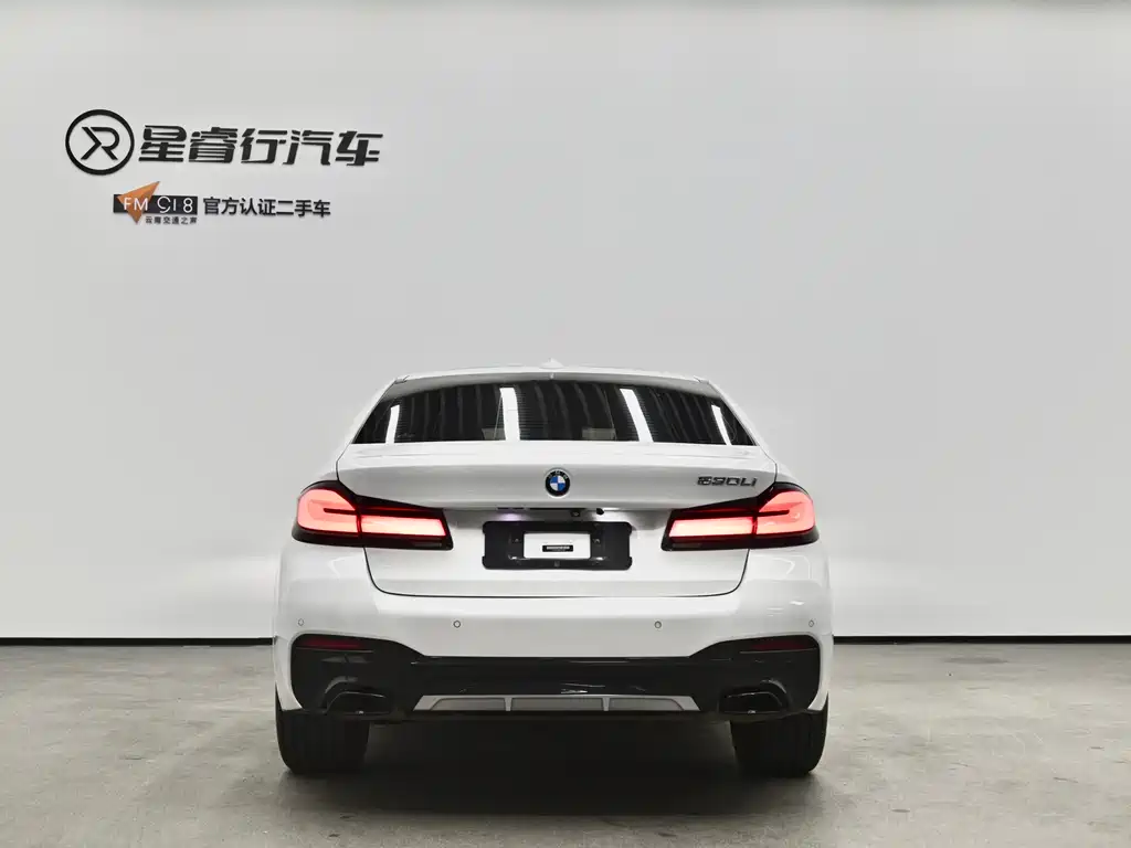BMW 5 Series 2021