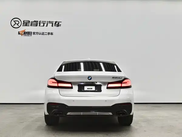 BMW 5 Series 2021
