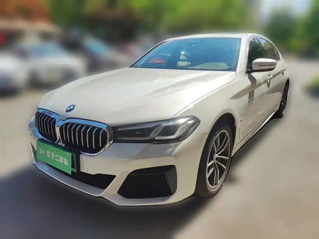 BMW 5 Series New Energy 2021 — фото 1