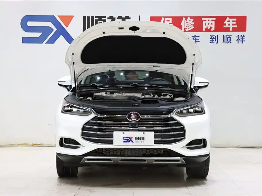BYD Tang 2019 — фото 19