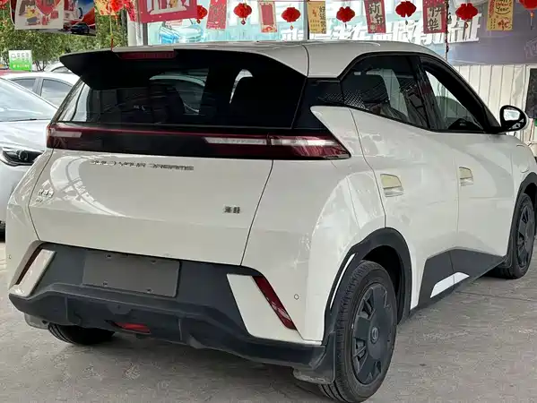 BYD Seagull 2024