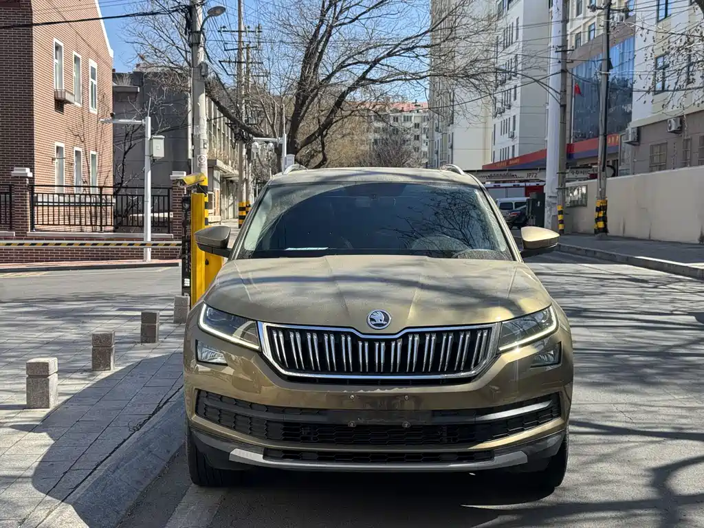 Skoda Kodiaq 2019 — фото 2