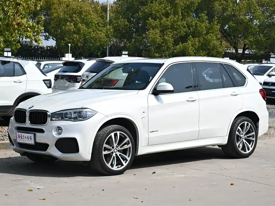 BMW X5 2017 — фото 1