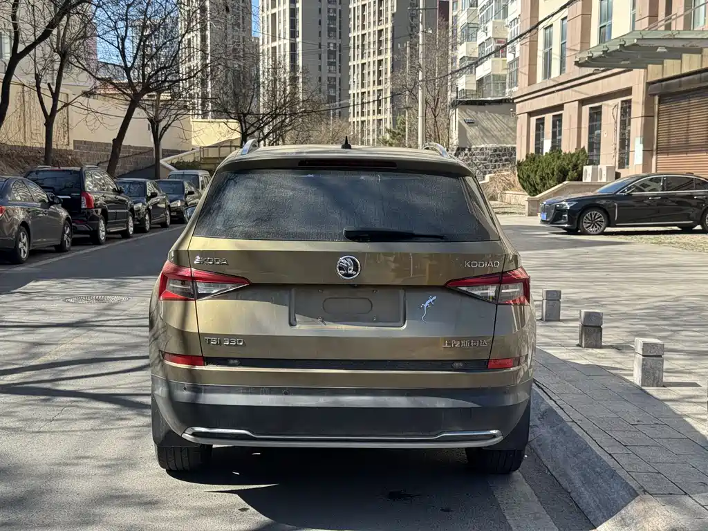 Skoda Kodiaq 2019 — фото 8