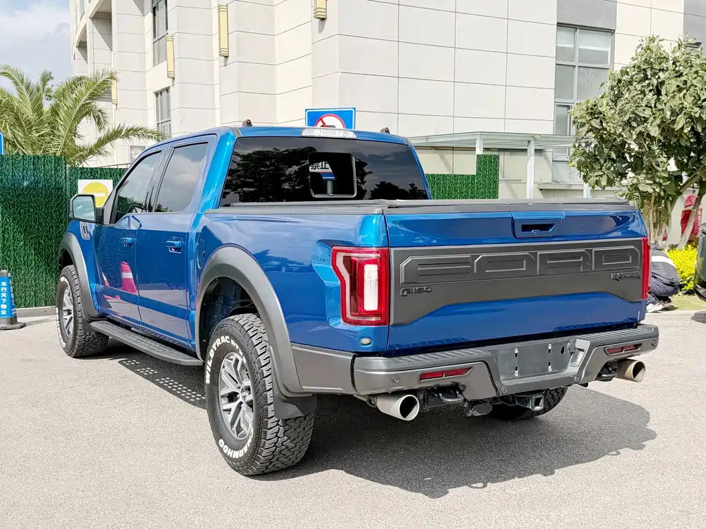 Ford F-150 Raptor 2017 — фото 18