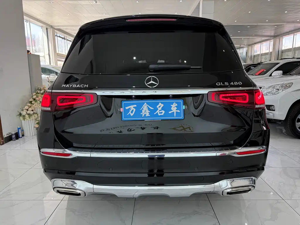 Mercedes-Benz GLS 2022 — фото 18