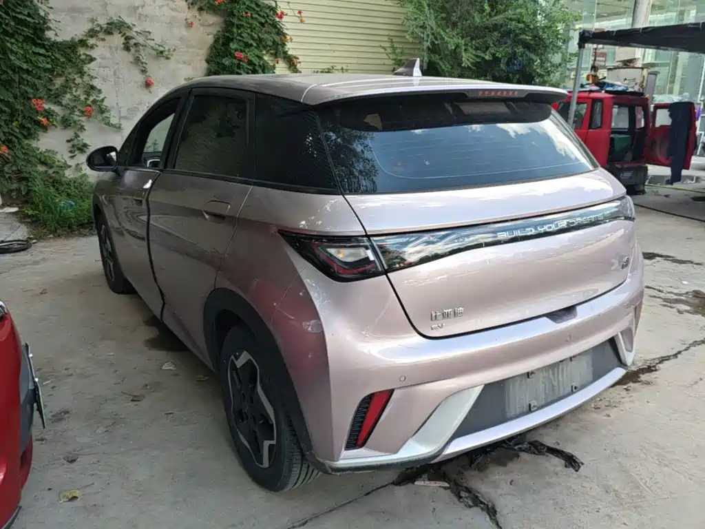 BYD Dolphin 2022