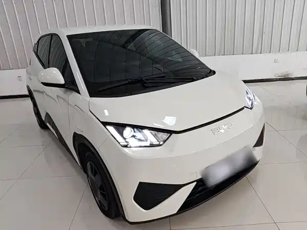 BYD Seagull 2025
