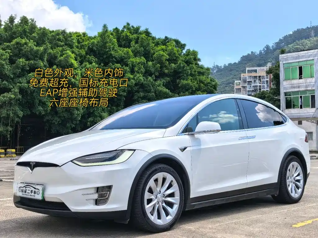 Tesla Model X 2018