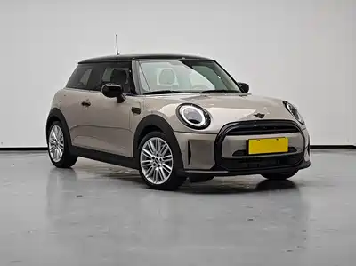 MINI MINI 2022