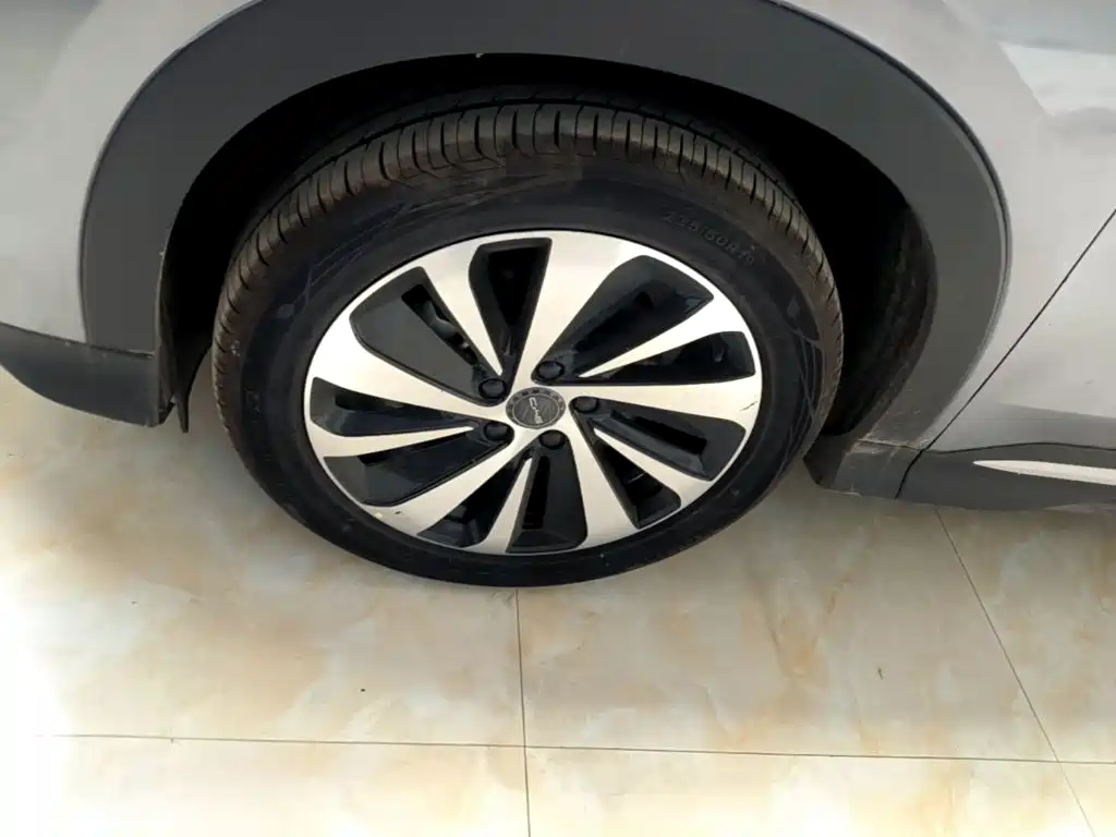 BYD Song PLUS New Energy 2024 — фото 23