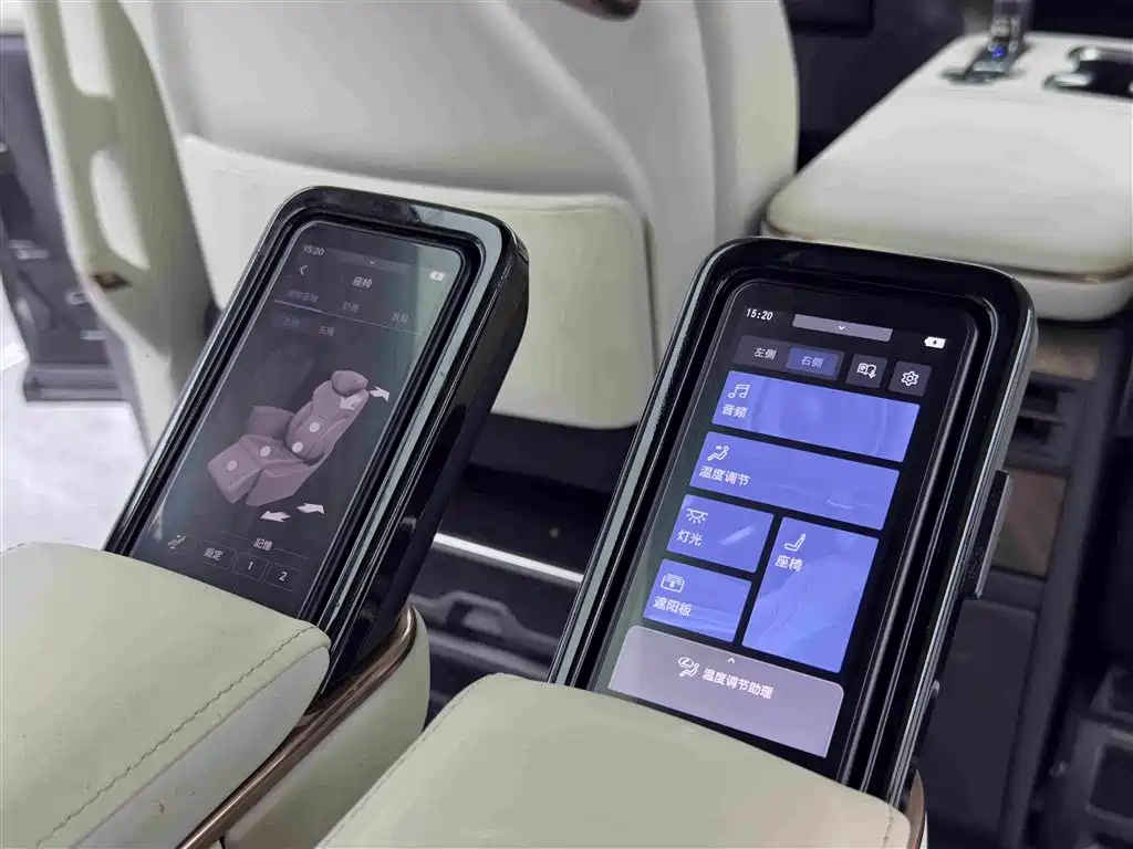 Lexus LM 2024 — фото 13