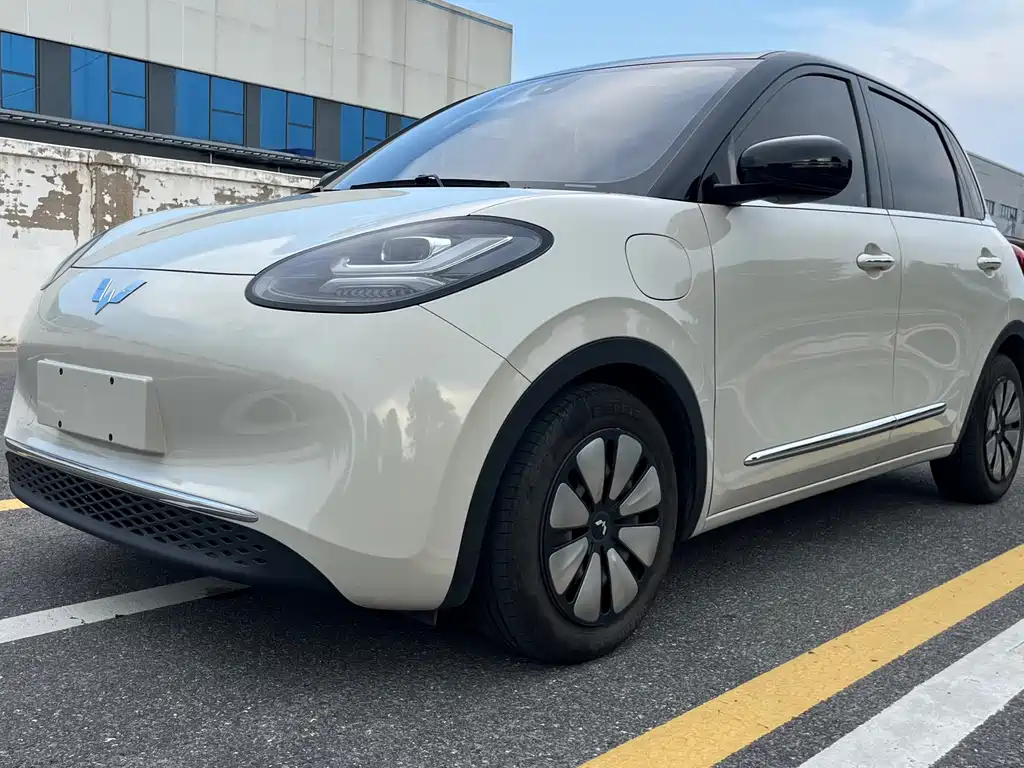 Wuling Bingo 2024