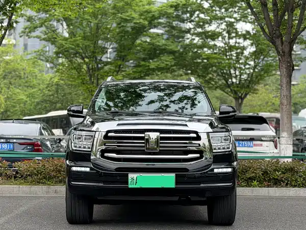Tank 500 New Energy 2024