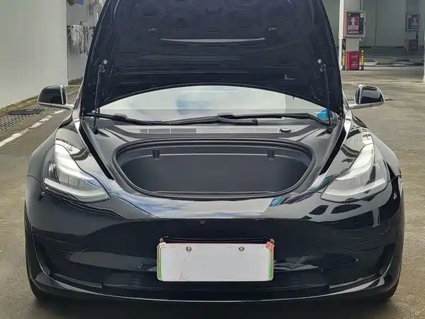 Tesla Model 3 2020