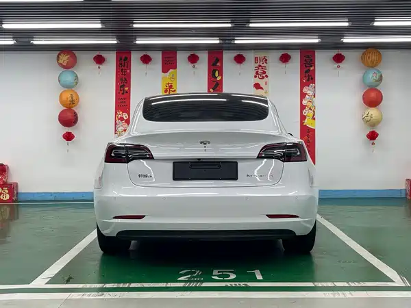 Tesla Model 3 2021