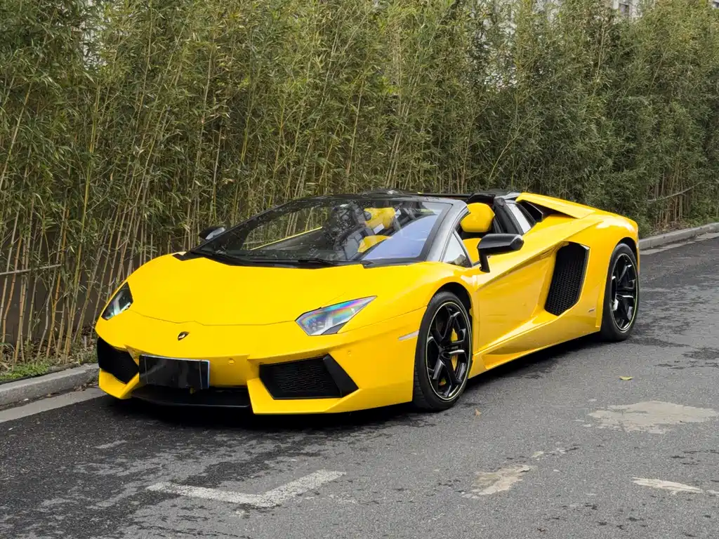 Lamborghini Aventador 2016 — фото 12