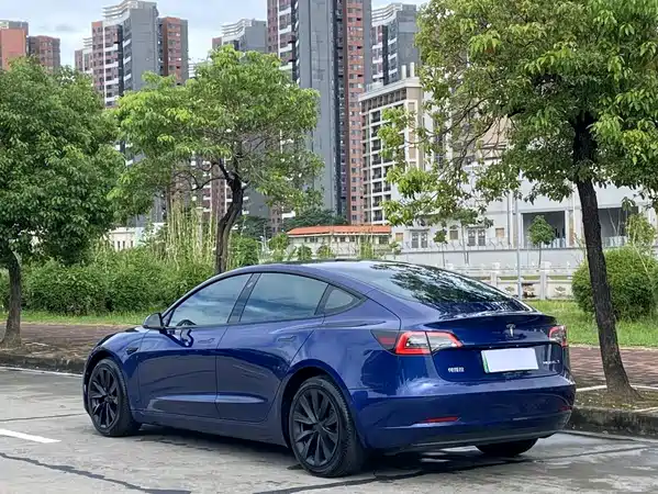 Tesla Model 3 2021