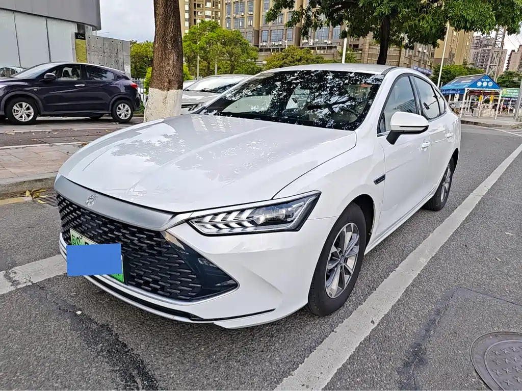 BYD Qin PLUS 2024 — фото 1