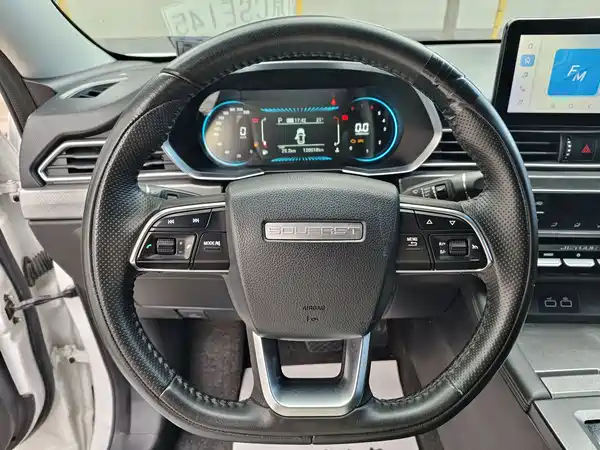Soueast DX8S 2022