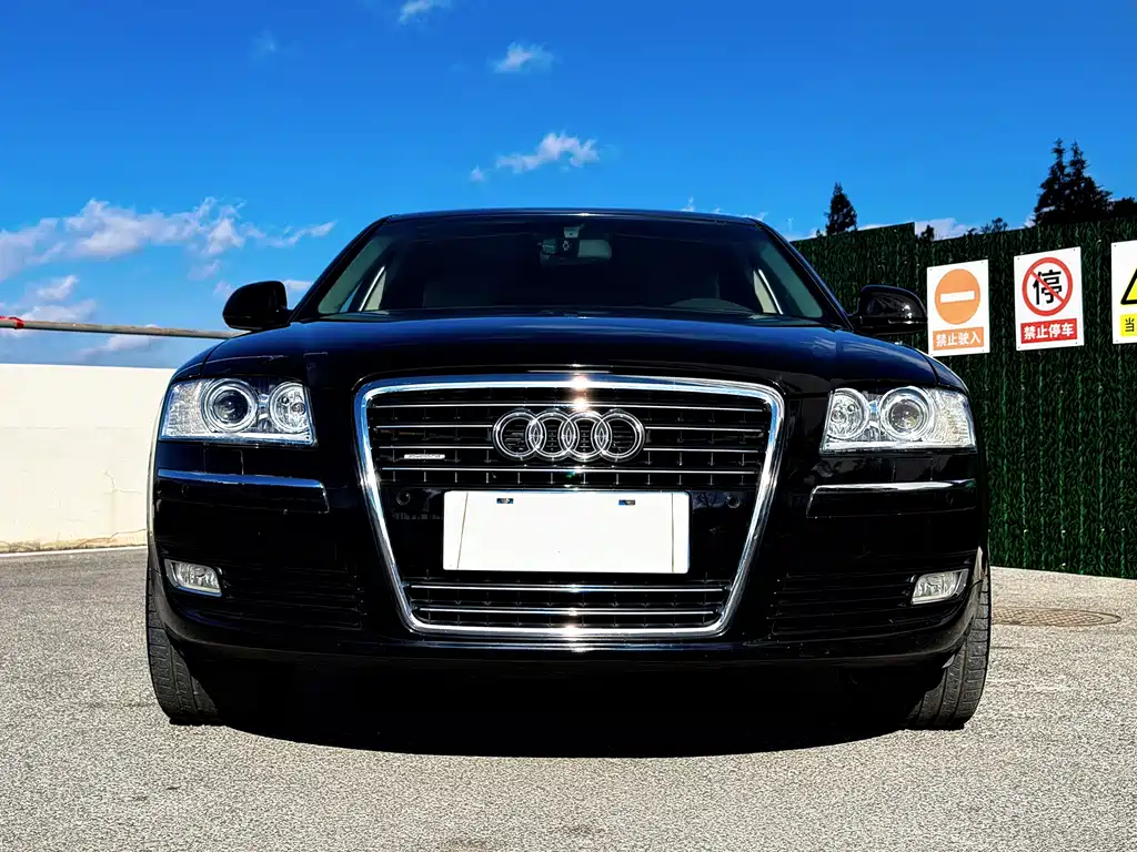 Audi A8 2009 — фото 5