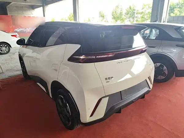 BYD Seagull 2024