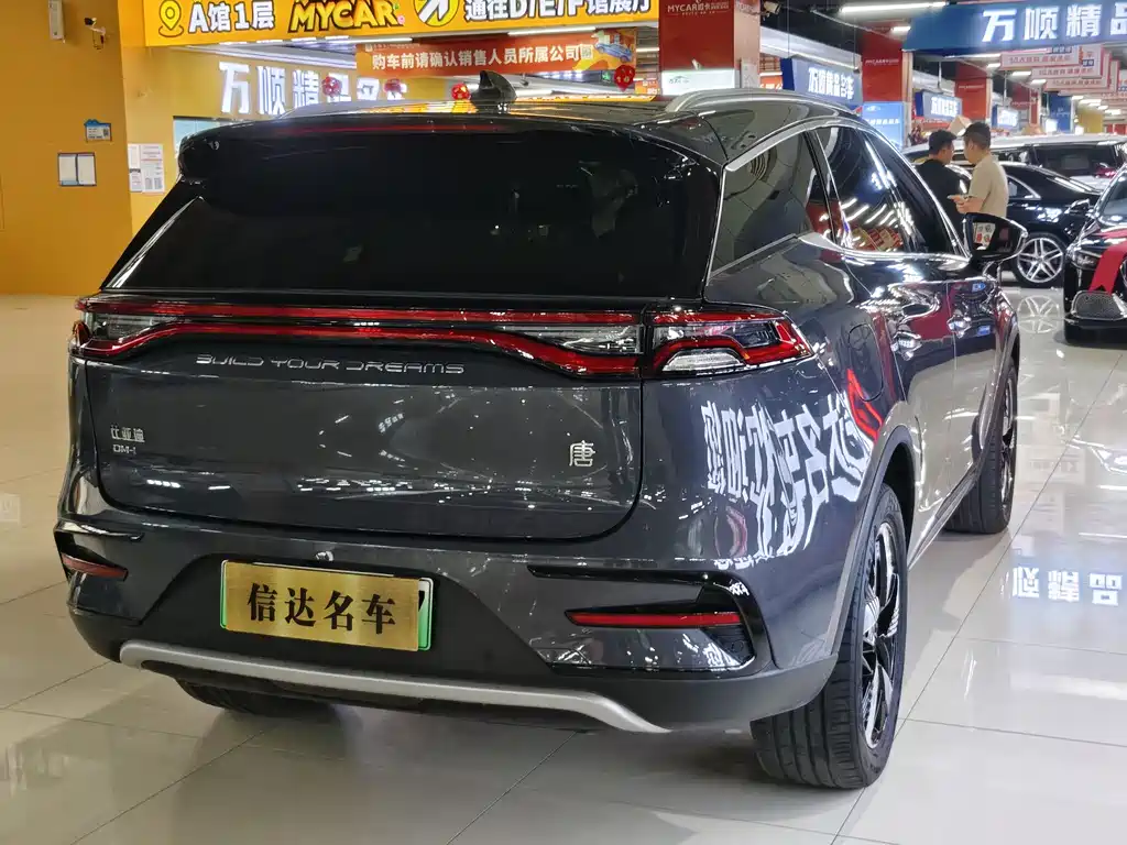 BYD Tang New Energy 2024 — фото 18